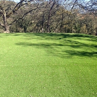 Artificial Grass Apple Valley, California Lawns, Parks