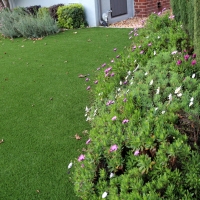 Artificial Grass Carpet Lytle Creek, California Garden Ideas, Front Yard Landscaping Ideas