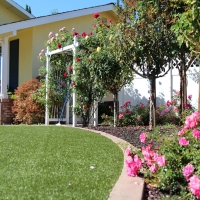 Artificial Grass Carpet Malibu Beach, California Landscape Design, Front Yard