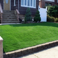 Artificial Grass Carpet Rosedale, California Lawns, Small Front Yard Landscaping