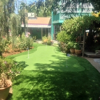 Artificial Grass Carpet South Whittier, California Home And Garden