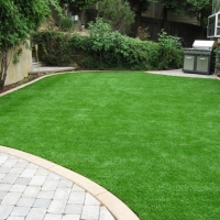 Artificial Grass Edmundson Acres, California Landscape Photos