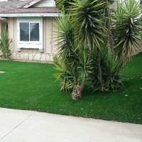 Artificial Grass Installation Toro Canyon, California Lawn And Garden, Front Yard Landscaping Ideas