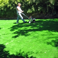 Artificial Grass South Pasadena, California Lawn And Landscape, Backyard Ideas