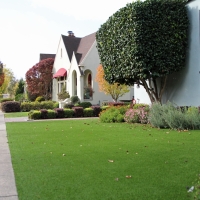 Artificial Lawn Laguna Beach, California Backyard Deck Ideas, Front Yard Design