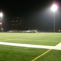 Artificial Lawn Lomita, California Sports Athority