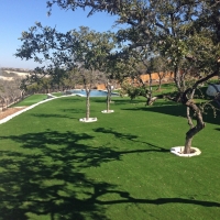 Artificial Turf Arroyo Grande, California Home And Garden, Natural Swimming Pools