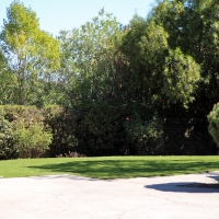 Artificial Turf Century City, California Backyard Playground, Front Yard