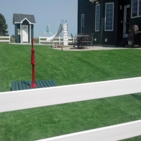 Artificial Turf Cost Laguna Niguel, California Garden Ideas, Front Yard Ideas