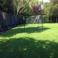 Artificial Turf El Cerrito, California Gardeners, Backyard Ideas