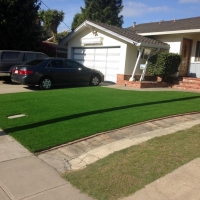 Artificial Turf Installation West Carson, California Lawn And Garden, Front Yard Design