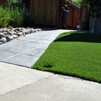 Artificial Turf Ladera Heights, California Lawn And Garden, Front Yard Landscaping