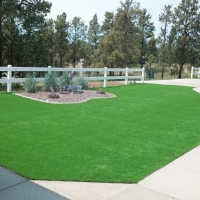 Artificial Turf Manhattan Beach, California Landscaping Business, Front Yard Design