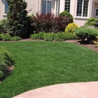 Artificial Turf San Pedro, California Landscaping Business, Front Yard Landscape Ideas