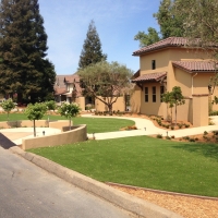 Best Artificial Grass La Palma, California Landscape Photos, Front Yard Landscaping Ideas