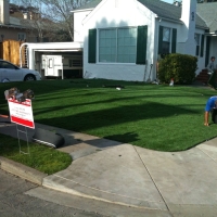 Best Artificial Grass San Pedro, California Landscape Photos, Small Front Yard Landscaping