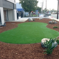 Best Artificial Grass Walnut, California Landscape Ideas, Commercial Landscape