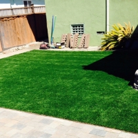 Fake Grass Carpet Avila Beach, California Rooftop, Backyard Designs