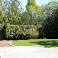 Fake Grass Carpet Chatsworth, California Home And Garden, Backyard Landscape Ideas