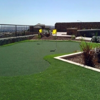 Fake Grass Carpet Redondo Beach, California Garden Ideas