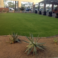 Fake Grass Carpet Santa Monica, California Landscape Photos, Commercial Landscape