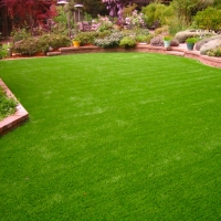 Fake Grass Oxnard, California Garden Ideas, Backyard