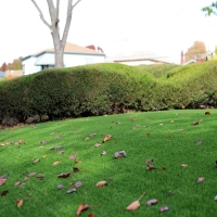 Fake Lawn Bakersfield, California Lawns, Front Yard Ideas