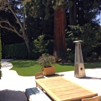 Fake Lawn Carson, California Design Ideas, Backyard Ideas