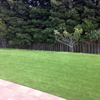 Fake Lawn Manhattan Beach, California Design Ideas, Backyard Design