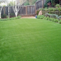 Fake Lawn Wrightwood, California Roof Top, Backyard Ideas