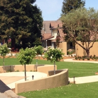 Fake Turf Alpaugh, California Lawn And Landscape, Front Yard