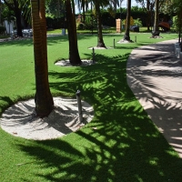 Fake Turf Desert View Highlands, California Landscape Ideas, Commercial Landscape