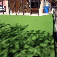 Fake Turf Earlimart, California City Landscape, Backyard Landscaping