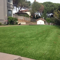 Fake Turf Lake of the Woods, California Best Indoor Putting Green, Backyard Landscaping