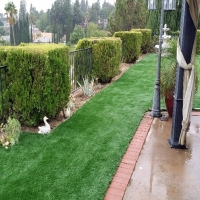 Fake Turf Meiners Oaks, California Roof Top, Backyard Makeover