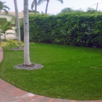 Grass Carpet Charter Oak, California Landscape Design, Front Yard Landscaping Ideas