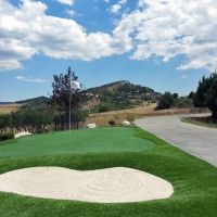 Grass Carpet Greenfield, California Office Putting Green, Front Yard Ideas