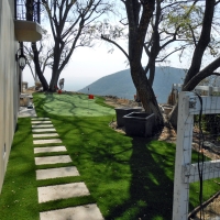 Grass Carpet Isla Vista, California Backyard Playground, Backyard