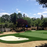 Grass Carpet Monterey Park, California Lawn And Landscape, Small Front Yard Landscaping