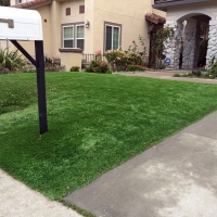 Grass Carpet Oildale, California City Landscape, Front Yard Landscaping Ideas