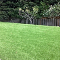 Grass Carpet Torrance, California Landscape Rock, Beautiful Backyards