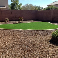 Grass Carpet Wasco, California Landscape Design, Backyard Makeover