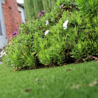 Grass Installation Tustin, California Landscaping Business, Front Yard Landscaping Ideas