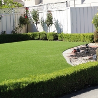 Grass Turf Culver City, California Landscaping, Front Yard Design