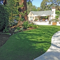 Grass Turf East La Mirada, California Home And Garden, Commercial Landscape