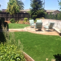 Grass Turf Ford City, California Landscape Design, Backyard Designs