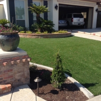 Grass Turf Hollywood, California Landscape Ideas, Front Yard Design