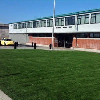 Grass Turf Lebec, California Landscaping, Commercial Landscape