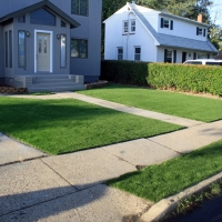 Grass Turf Mira Loma, California Roof Top, Landscaping Ideas For Front Yard