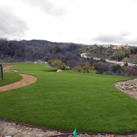 Grass Turf Norco, California Lawn And Garden